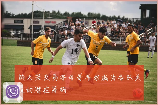 热火若交易字母哥韦尔成为各队关注的潜在筹码